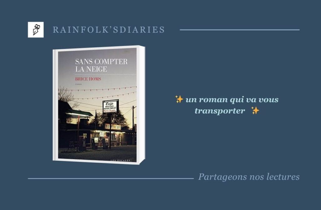 Sans compter la neige – Brice Homs