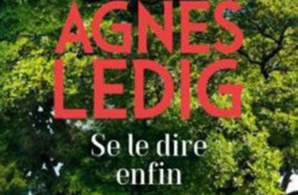Découverte d’Agnès Ledig Agnès Ledig – se le dire enfin _ couverture _ rainfolk diaries_lecture
