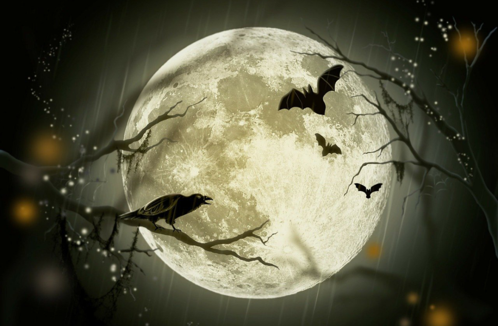 Sélection d’intrigues envoûtantes pour Halloween