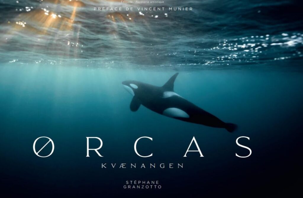 ORCAS- Stéphane Granzotto rainfolk-orcas