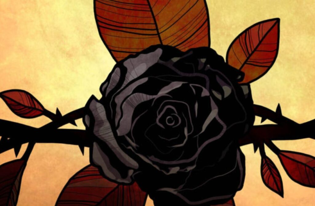 La Rose Noire – Des Pensées et Des Ronces La Rose Noire - Des Pensées et Des Ronces