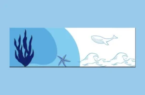 Prix littéraire Étoiles Bleues 2026 : Océan et livres Prix littéraire Étoiles Bleues 2026