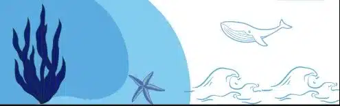 visuel baleine étoiles bleues mer prix littéraires Prix littéraire Étoiles Bleues 2026