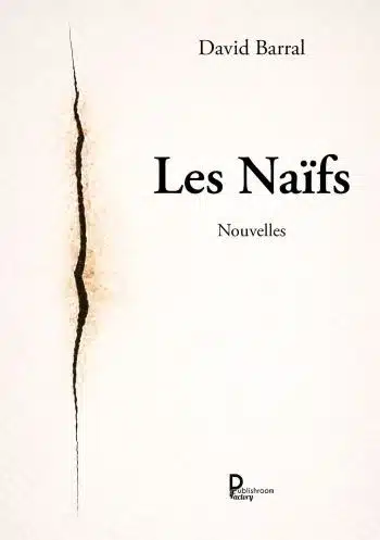 David Barral : Les Naïfs, chronique littéraire